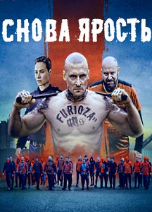 Снова ярость