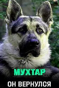 Мухтар. Он вернулся (2026) смотреть онлайн